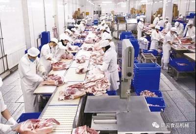 觸目驚心！豬價“跌跌不休”，養(yǎng)殖戶何去何從？食品銷售端迎來新挑戰(zhàn)與機遇